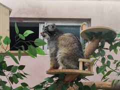 -青藏高原野生动物园