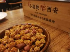 -福苗小骆驼烧烤(莲湖路店)