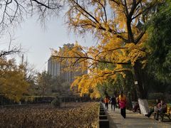 -万达影城(锦华万达广场IMAX店)