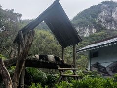 -柳州市动物园