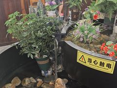 -九寨沟石锅鱼(沣峪口二十年店)