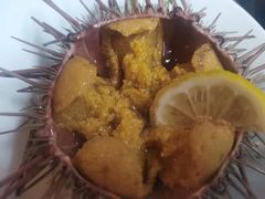 活海胆-丽园海鲜饭店(东关街店)