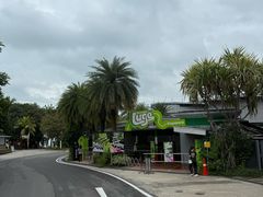 -圣淘沙天际线斜坡滑车