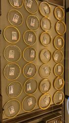 -老凤祥(长安万达店)