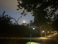 -广州雕塑公园