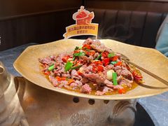 -炊烟小炒黄牛肉(浦东世纪汇店)