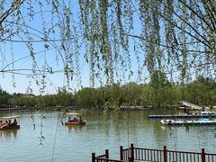 -杨柳青庄园