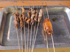 -福苗小骆驼烧烤(莲湖路店)
