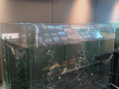 -湘知湘味(岳麓山店)