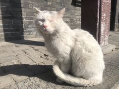 -张学良旧居陈列馆