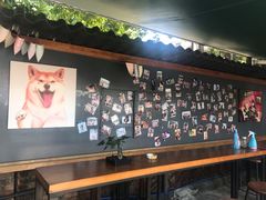 -柴犬高等学院·狗咖·柴犬售卖·宠物训练