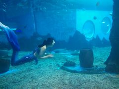 -北戴河圣蓝海洋公园