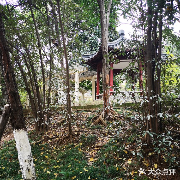 静静得在这迷人の校园走上一圈，真的是心旷神怡啊