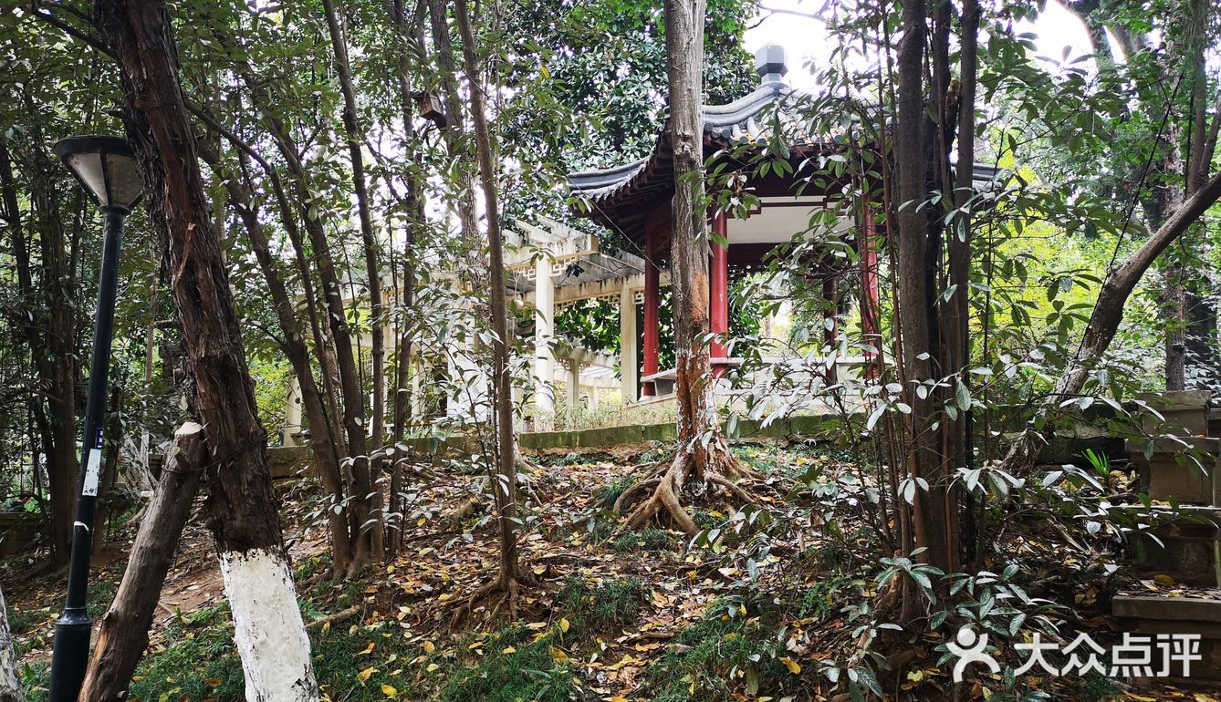 静静得在这迷人の校园走上一圈,真的是心旷神怡啊