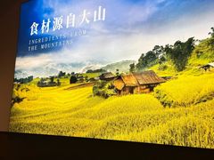 -良米山·云南野生菌过桥米线(上海首店)