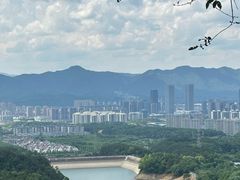 -大奇山国家森林公园