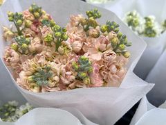 -循礼门鲜花花市(武汉循礼门店)