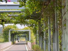 -光明小镇欢乐田园