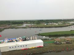 -春花秋色城市公园