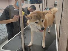 -FAELING PETS美天灵宠物(富力广场店)