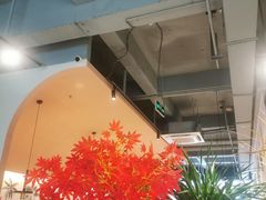 -Aqua Oasis 水天堂(爱山广场店)