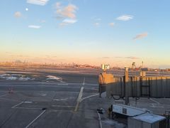 -纽瓦克自由国际机场