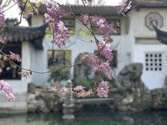 -留园
