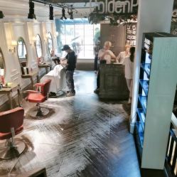 点击看大图 -金棕榈