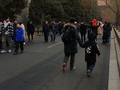 -东华门大街小区