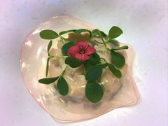 -京兆尹(雍和宫店)