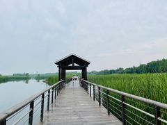 -苏州太湖湖滨国家湿地公园