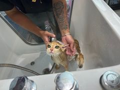 -FAELING PETS美天灵宠物(富力广场店)