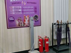 -宠爱国际动物医院·疑难骨科·心肾内科·皮肤科(太阳宫店)