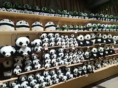 -海南热带野生动植物园