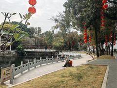 -荔湾湖公园