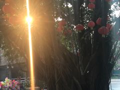 -河内西湖莲花自助餐厅