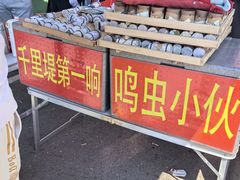 -千里堤花鸟鱼虫市场(天津红桥区店)