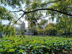 -宝岛公园