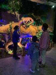 -恐龙探索乐园(磁器口店)