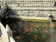 -红螺寺