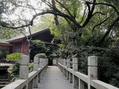 -广州兰圃