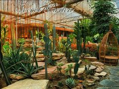 -桉树林A coffee 森林餐厅(三圣乡店)