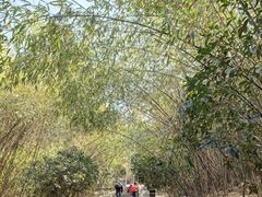 -少华山国家森林公园