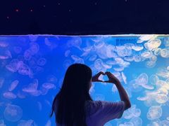 -左海海底世界