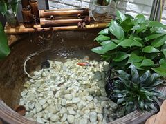 -813芭依珊 BAESAn(皇冠十畝地店)