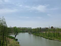 -上海长兴岛郊野公园