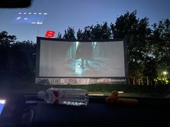-枫花园汽车电影院(朝阳公园店)