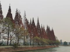 -蜀绣公园