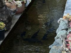 -炊烟餐厅