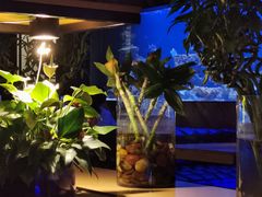 -暹罗酒肆泰餐厅酒吧